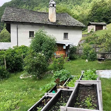 Comfy Vintage House In The Nature Holiday home